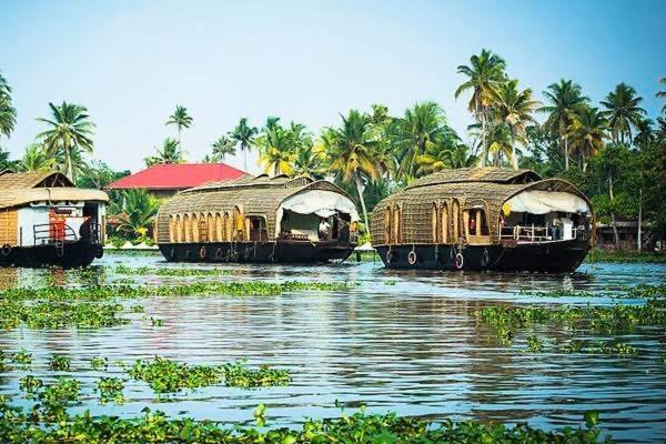 Marari Beach Cleetus Homestay Mararikulam Eksteriør bilde