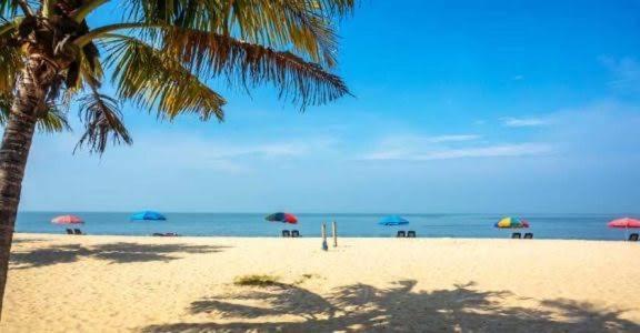 Marari Beach Cleetus Homestay Mararikulam Eksteriør bilde